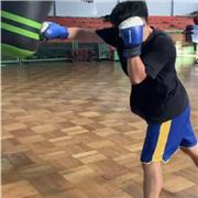 Clases de boxeo personalizadas, nivel principiante-medio-avanzado. A domicilio y en lugar